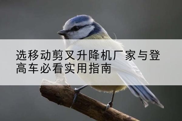 黄龙电动升降机厂家-选移动剪叉升降机厂家与登高车必看实用指南