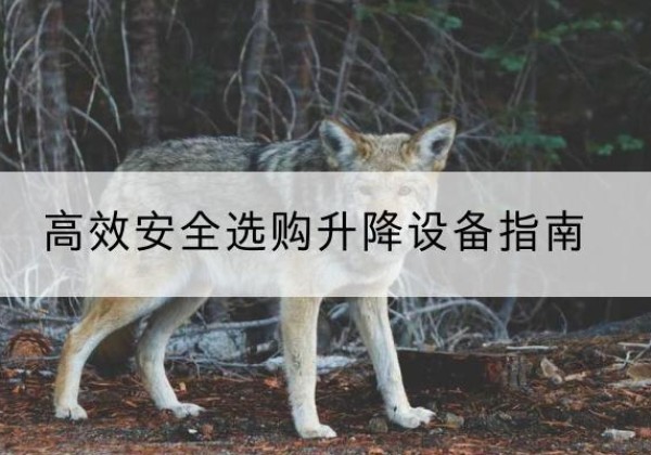 黄龙升降货梯厂家推荐-*安全选购升降设备指南