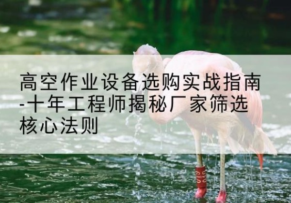 黄龙剪叉式升降机厂家-高空作业设备选购实战指南-十年工程师揭秘厂家筛选核心法则